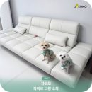 침대보다 더 좋아졌어요! 자코모 파미르 스윙 기능성소파 후기