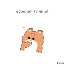 추억바베큐
