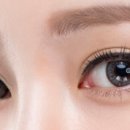 초코메디칼 이미지