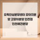 오독안심분양센터 강아지분양 고양이분양 인천점 | 오독안심분양센터 강아지분양 고양이분양 인천점