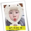 송림동물병원 이미지