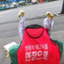 20140615-제2회 김대중 평화마라톤 대회 이미지