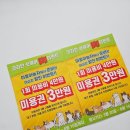 야옹아놀자 마곡점 | 마곡 고양이 미용, 야옹아 놀 자에서 후다닥 끝낸 찐 후기!