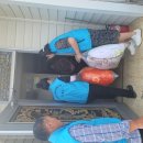 복지세탁 이미지