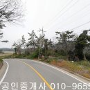 (판매완료)신안군 지도읍 감정리 임야1183제곱,(조정불가),전남토지매매,신안토지매매 이미지