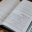 오디뮤직 네이버블로그