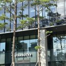 수다라떼 상담 이미지