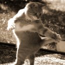 라미한의원 이미지