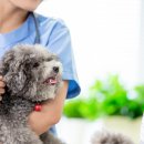 24시이스턴동물의료센터 이미지