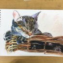 드로잉 풍경과 수채화 이미지