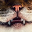 동이몽이 이미지