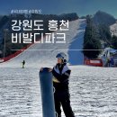 에스앤에스 푸드 | 비발디파크 스키장 리프트권 시간 가격 할인 셔틀버스 노선