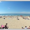 보고피드 이미지