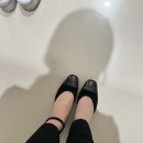 소피아방 | 시에(sie) 루이스 구스 후드 재킷, 아방 와이드 울 트라우저, 쉘 솔리드 가디건, 셀리아 슈즈, 앤...