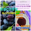 참다한홍삼동탄나루점 | 동탄비타민매장 동탄영양제구입처 약국X 동탄건강기능식품 동탄영양제 화학부형제X 약X