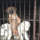 어미들 농장 이미지