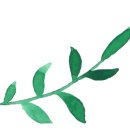 명품세탁힐스 이미지