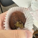 (주)쿱스토어 광주수완점 | [광주] 두바이쫀득쿠키 , 두바이소금빵 , 두바이샌드 , 두바이초코설빙 , 두쫀쿠 내돈내산 후기 2탄