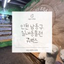 청수환경위생 | 인천 남동구 서창 실내동물원 쥬벅스 아이와함께 가볼만한 곳 특별한 체험 후기