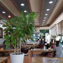 자생오리원 이미지