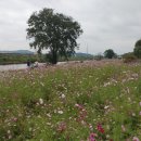 태평테니스장 이미지