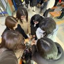 CU전주비젼대학점 | 병둥이들이랑 우당탕탕 1박2일 전주여행