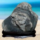 평화목장 이미지