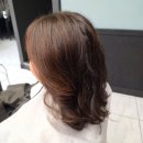 중앙동216 | 안산 중앙동 미용실 박승철헤어안산중앙점 다슬 디자이너 CS펌 후기