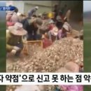 대신용역 Daum카페