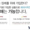 도리상조 이미지