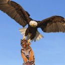 조아조아 이미지