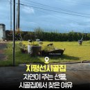 시골집 | 김제숙소 / 지평선시골집 촌캉스 후기