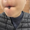 닥터유로포뮬라 이미지