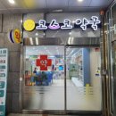 코스코약국 네이버블로그