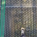 설악스카이 | 속초 가볼만한 곳 설악향기로 스카이워크 방문후기! 🌿✨