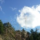 카카공인중개사사무소 이미지