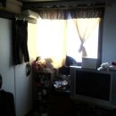 면일초등학교 이미지