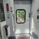 신상열 | 신상열차 마음 탑승 후기 / 기차 입석 꿀팁