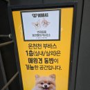 샐러드야 온천천점 | 안락동 파스타 맛집 부바스 온천천점 부산 브런치 카페 후기