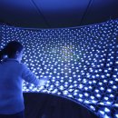 빛의 정원 - 20 이미지