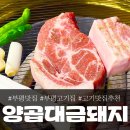부평맛집양곱대금돼지