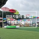 까끼토끼놀이터