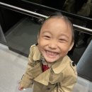 문경아리랑호텔 | 문경 벚꽃 축제, 문경 숙소 아리랑호텔