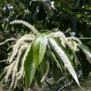 정경식농장 이미지