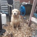 선원4길 이미지