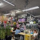 카페처음 - 종로구 통일로 246-10 | 노원사주 관성원사주카페 | 타로 처음 본 후기