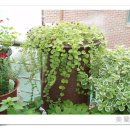 옹기의 만남 이미지