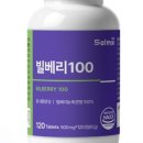 드빅 네이버블로그