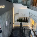 정원한의원 | 도산공원 한의원 힙 리프팅 : 스컬트힙 1회차 솔직후기⋰˚✩