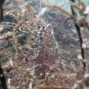 남해-277 이미지